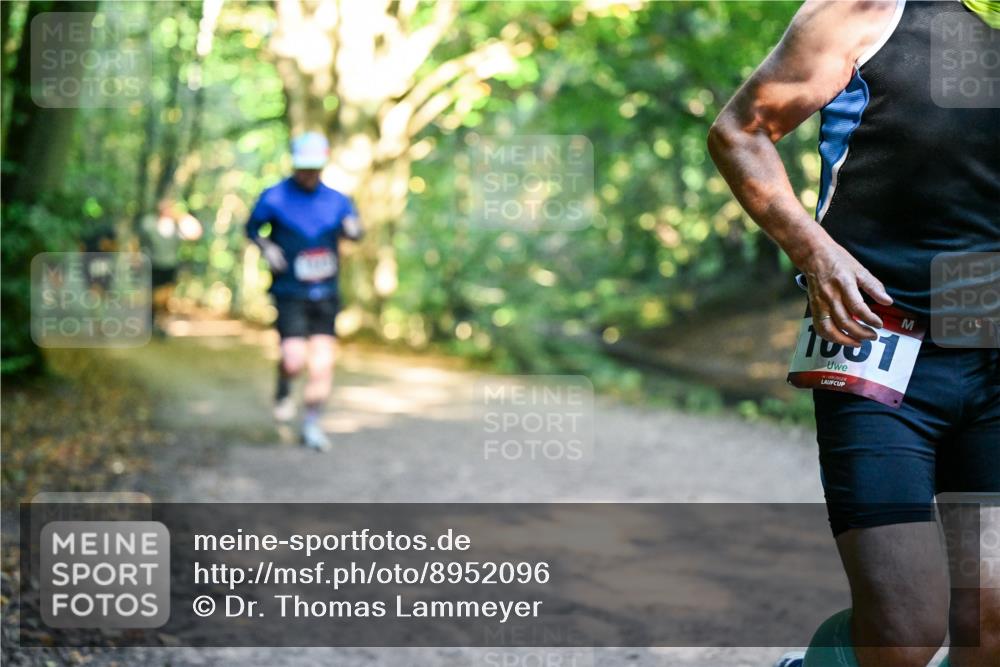 28.09.2025 - 33. Volkslauf durch das schöne Alstertal Dr. Thomas Lammeyer http://msf.ph/oto/8952096 28.09.2025 10:20:10 Laufen 1981 meine-sportfotos.de