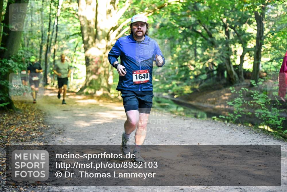 28.09.2025 - 33. Volkslauf durch das schöne Alstertal Dr. Thomas Lammeyer http://msf.ph/oto/8952103 28.09.2025 10:20:11 Laufen 1640 meine-sportfotos.de