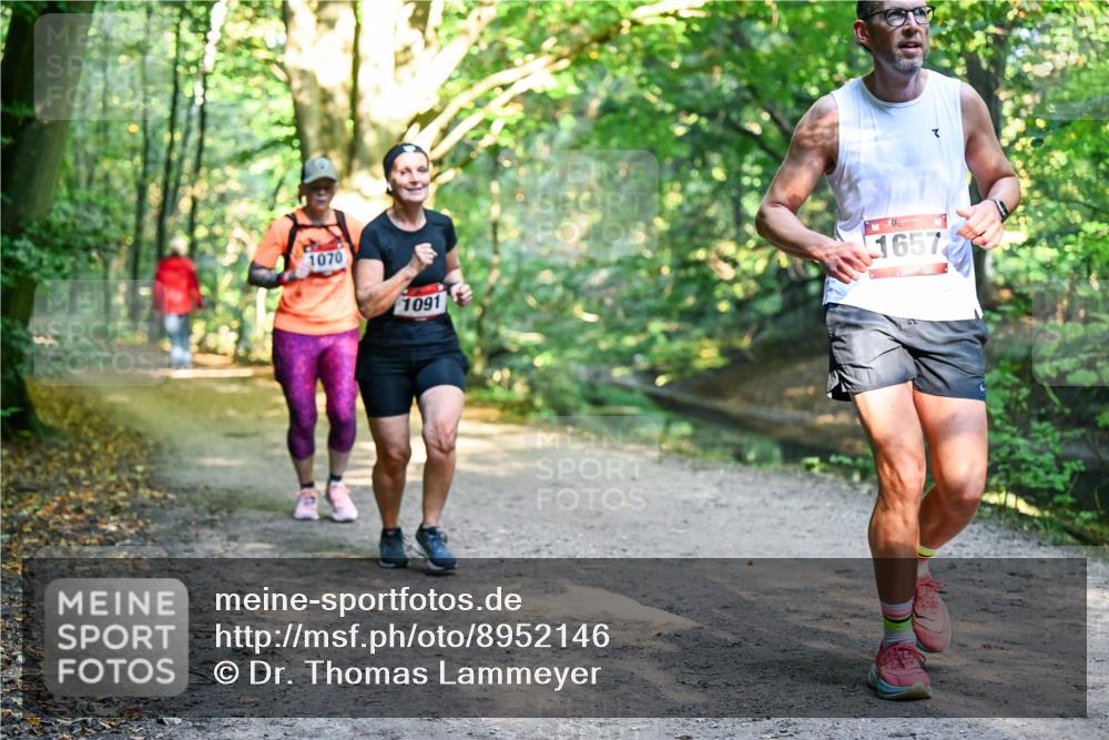28.09.2025 - 33. Volkslauf durch das schöne Alstertal Dr. Thomas Lammeyer http://msf.ph/oto/8952146 28.09.2025 10:20:26 Laufen 1070, 1091, 1657 meine-sportfotos.de