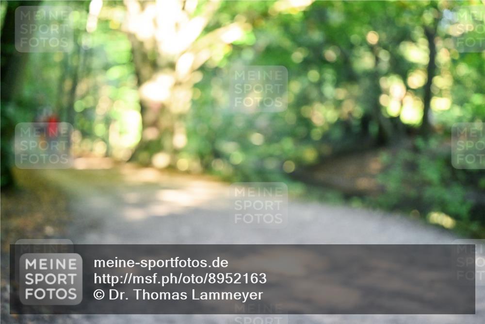 28.09.2025 - 33. Volkslauf durch das schöne Alstertal Dr. Thomas Lammeyer http://msf.ph/oto/8952163 28.09.2025 10:20:29 Laufen  meine-sportfotos.de