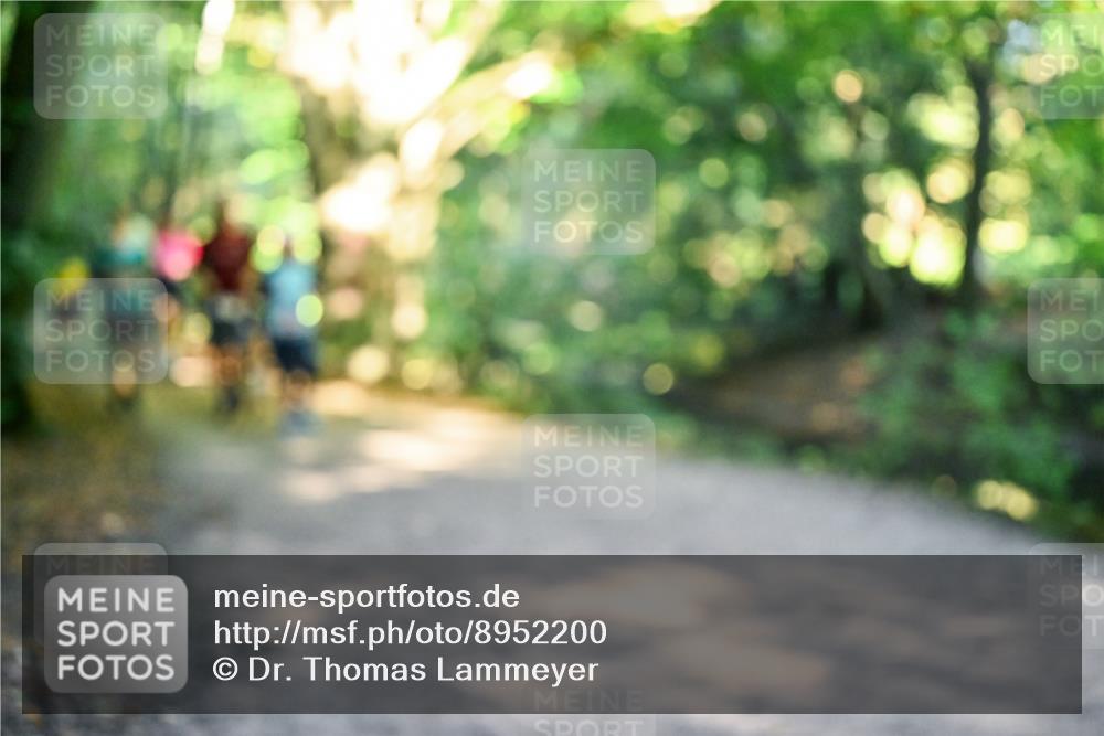 28.09.2025 - 33. Volkslauf durch das schöne Alstertal Dr. Thomas Lammeyer http://msf.ph/oto/8952200 28.09.2025 10:20:41 Laufen  meine-sportfotos.de