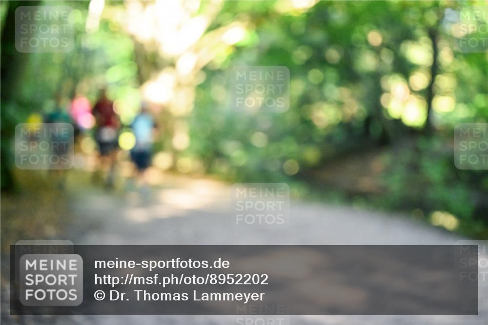 28.09.2025 - 33. Volkslauf durch das schöne Alstertal Dr. Thomas Lammeyer http://msf.ph/oto/8952202 28.09.2025 10:20:41 Laufen  meine-sportfotos.de
