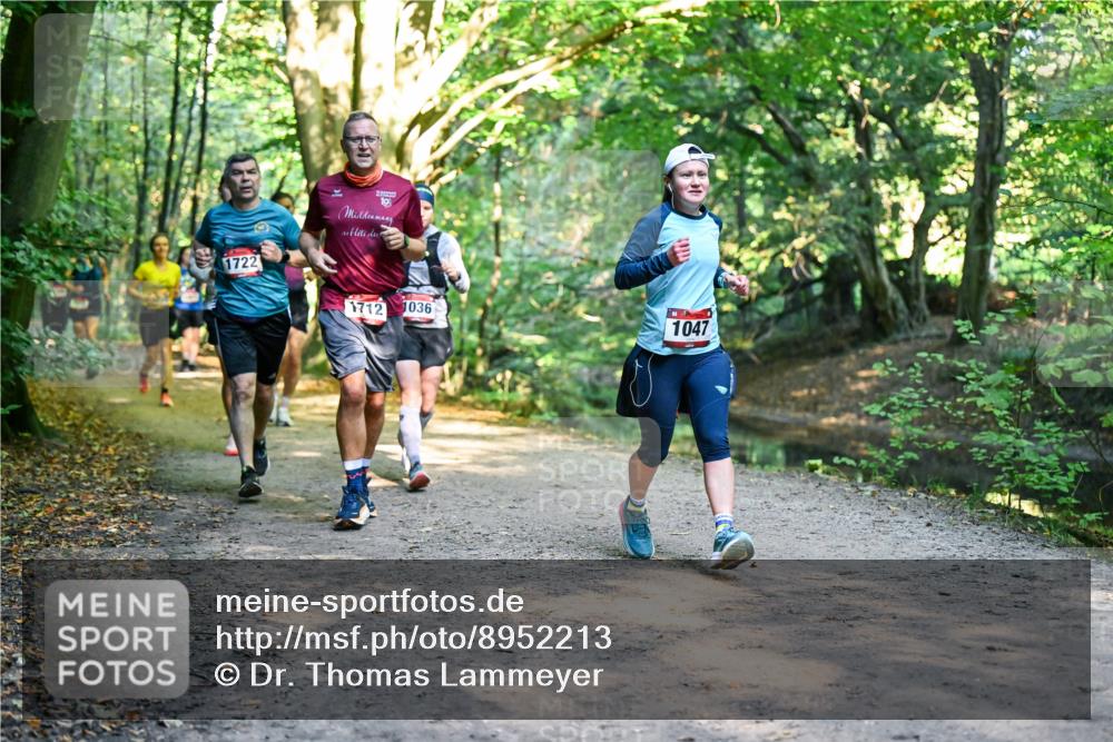 28.09.2025 - 33. Volkslauf durch das schöne Alstertal Dr. Thomas Lammeyer http://msf.ph/oto/8952213 28.09.2025 10:20:43 Laufen 1722, 19, 1712, 1036, 1047 meine-sportfotos.de