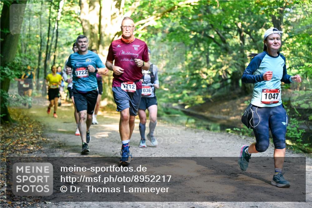 28.09.2025 - 33. Volkslauf durch das schöne Alstertal Dr. Thomas Lammeyer http://msf.ph/oto/8952217 28.09.2025 10:20:44 Laufen 19, 1722, 1712, 036, 1047 meine-sportfotos.de