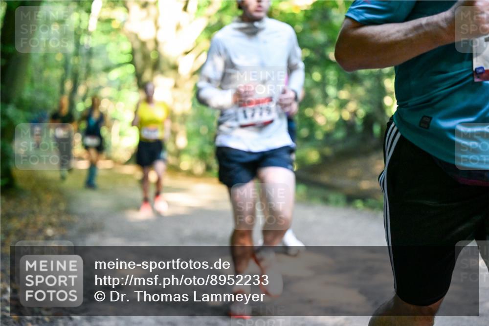 28.09.2025 - 33. Volkslauf durch das schöne Alstertal Dr. Thomas Lammeyer http://msf.ph/oto/8952233 28.09.2025 10:20:47 Laufen 1779 meine-sportfotos.de