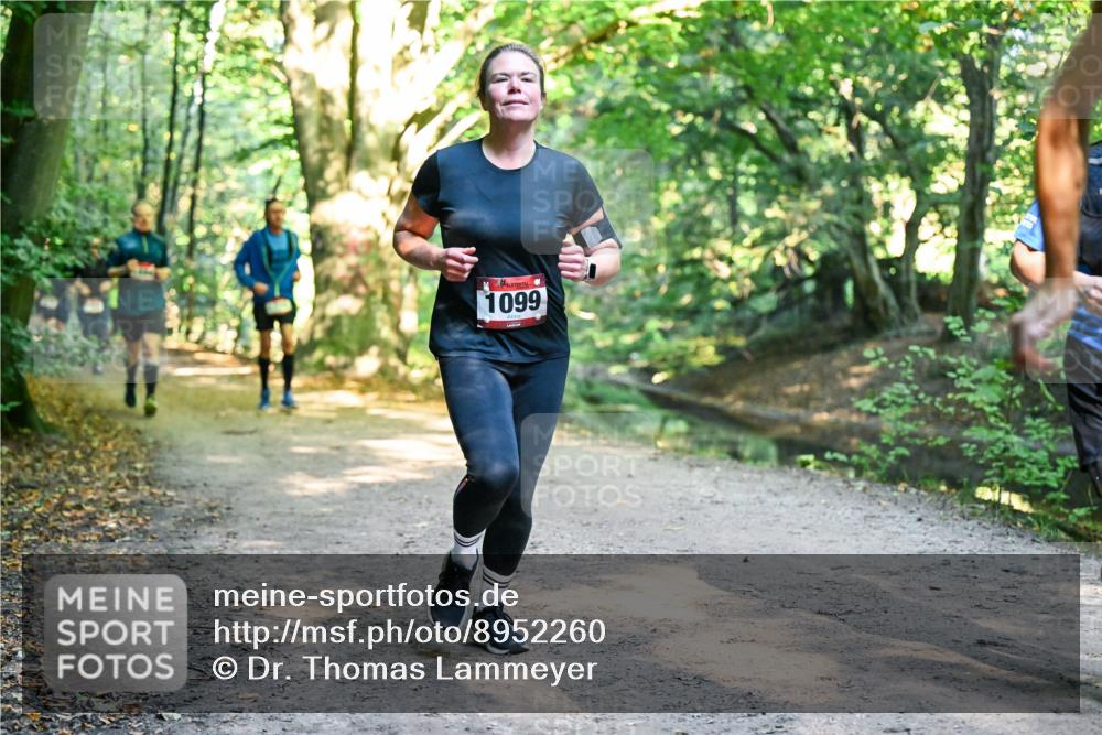 28.09.2025 - 33. Volkslauf durch das schöne Alstertal Dr. Thomas Lammeyer http://msf.ph/oto/8952260 28.09.2025 10:20:51 Laufen 1099 meine-sportfotos.de