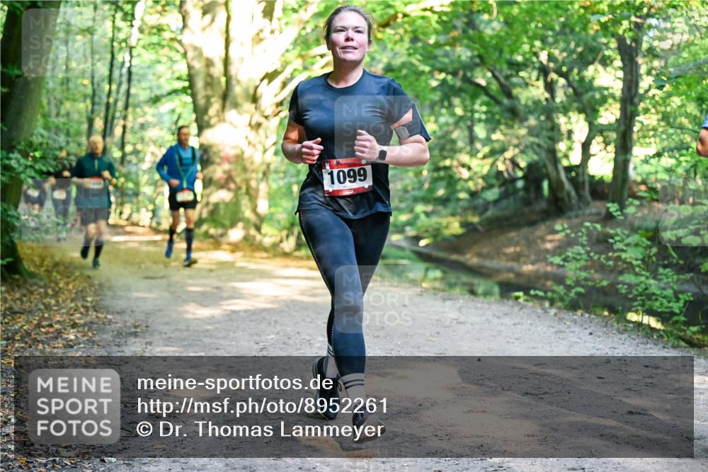 28.09.2025 - 33. Volkslauf durch das schöne Alstertal Dr. Thomas Lammeyer http://msf.ph/oto/8952261 28.09.2025 10:20:52 Laufen 1099 meine-sportfotos.de
