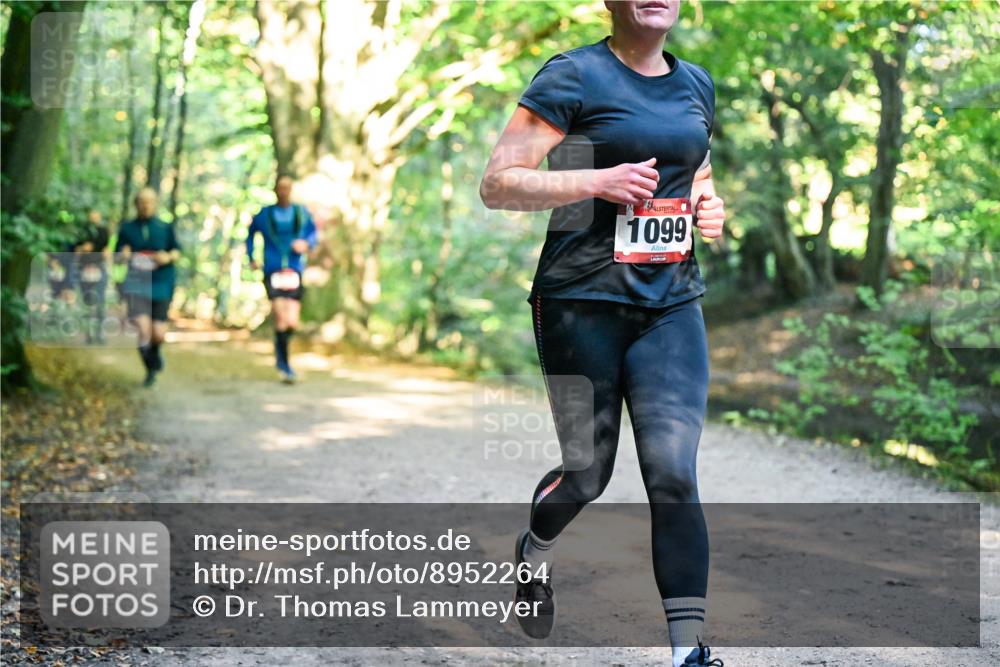 28.09.2025 - 33. Volkslauf durch das schöne Alstertal Dr. Thomas Lammeyer http://msf.ph/oto/8952264 28.09.2025 10:20:52 Laufen 1099 meine-sportfotos.de