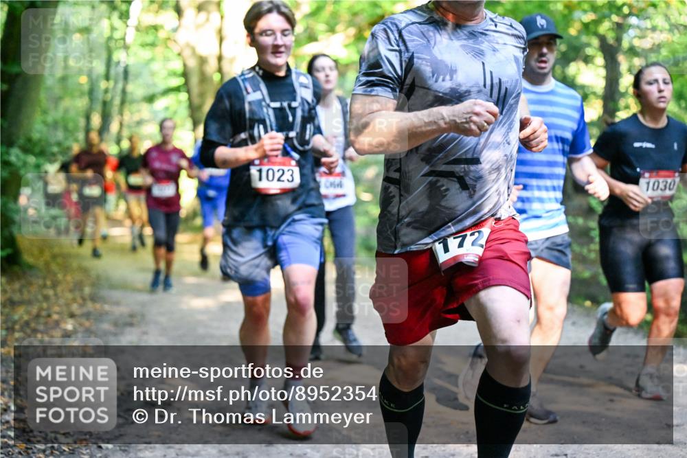 28.09.2025 - 33. Volkslauf durch das schöne Alstertal Dr. Thomas Lammeyer http://msf.ph/oto/8952354 28.09.2025 10:21:10 Laufen 1023, 172, 1030 meine-sportfotos.de
