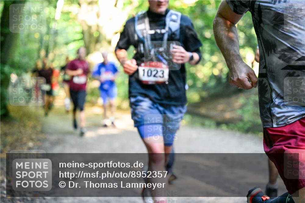28.09.2025 - 33. Volkslauf durch das schöne Alstertal Dr. Thomas Lammeyer http://msf.ph/oto/8952357 28.09.2025 10:21:11 Laufen 1023 meine-sportfotos.de