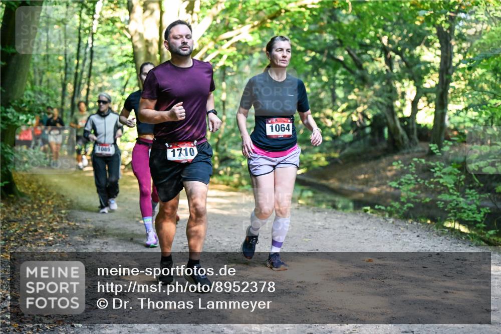28.09.2025 - 33. Volkslauf durch das schöne Alstertal Dr. Thomas Lammeyer http://msf.ph/oto/8952378 28.09.2025 10:21:14 Laufen 1089, 1710, 1064 meine-sportfotos.de