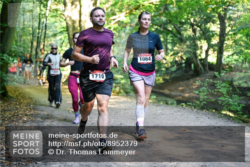 28.09.2025 - 33. Volkslauf durch das schöne Alstertal Dr. Thomas Lammeyer http://msf.ph/oto/8952379 28.09.2025 10:21:15 Laufen 1089, 1710, 1064 meine-sportfotos.de