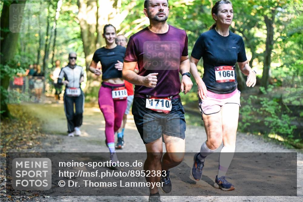 28.09.2025 - 33. Volkslauf durch das schöne Alstertal Dr. Thomas Lammeyer http://msf.ph/oto/8952383 28.09.2025 10:21:15 Laufen 1118, 13, 1710, 1064 meine-sportfotos.de