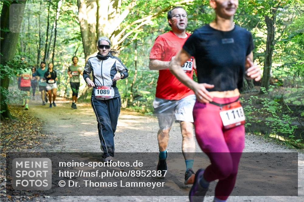 28.09.2025 - 33. Volkslauf durch das schöne Alstertal Dr. Thomas Lammeyer http://msf.ph/oto/8952387 28.09.2025 10:21:16 Laufen 1089, 78, 1118 meine-sportfotos.de