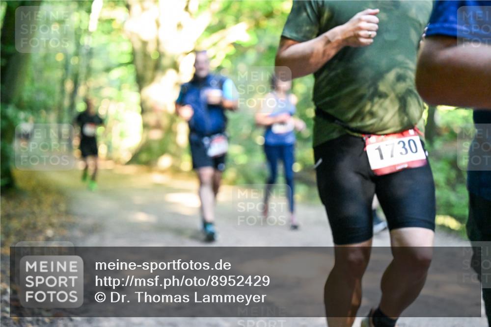 28.09.2025 - 33. Volkslauf durch das schöne Alstertal Dr. Thomas Lammeyer http://msf.ph/oto/8952429 28.09.2025 10:21:24 Laufen 1730 meine-sportfotos.de