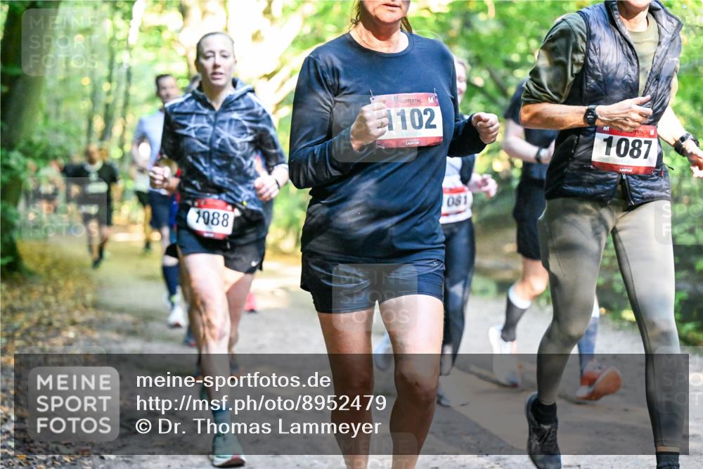 28.09.2025 - 33. Volkslauf durch das schöne Alstertal Dr. Thomas Lammeyer http://msf.ph/oto/8952479 28.09.2025 10:21:38 Laufen 1088, 102, 081, 1087 meine-sportfotos.de