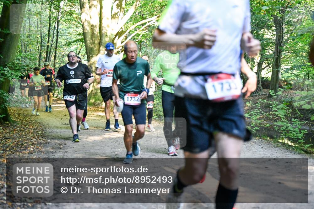 28.09.2025 - 33. Volkslauf durch das schöne Alstertal Dr. Thomas Lammeyer http://msf.ph/oto/8952493 28.09.2025 10:21:41 Laufen 166, 1566, 1702, 1041, 748, 1732, 173, 102 meine-sportfotos.de