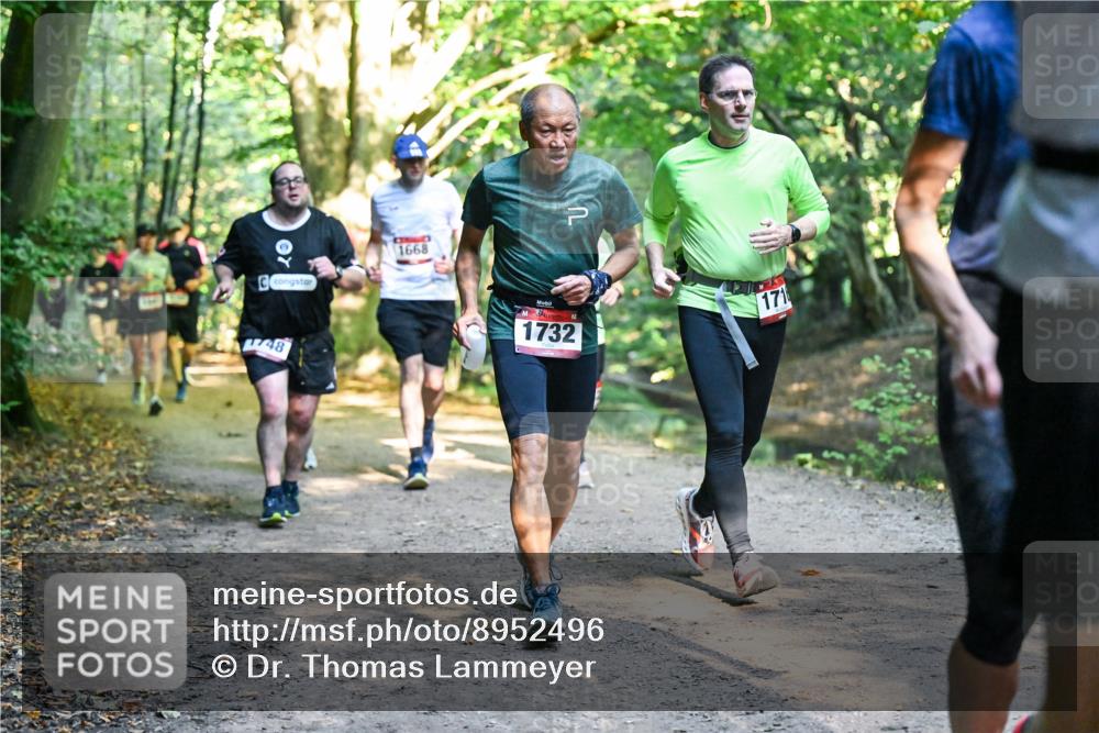 28.09.2025 - 33. Volkslauf durch das schöne Alstertal Dr. Thomas Lammeyer http://msf.ph/oto/8952496 28.09.2025 10:21:41 Laufen 1668, 48, 1732, 171 meine-sportfotos.de