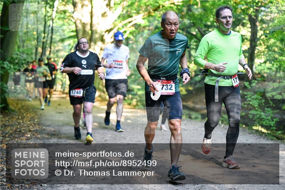 28.09.2025 - 33. Volkslauf durch das schöne Alstertal Dr. Thomas Lammeyer http://msf.ph/oto/8952499 28.09.2025 10:21:42 Laufen 1748, 732, 17 meine-sportfotos.de