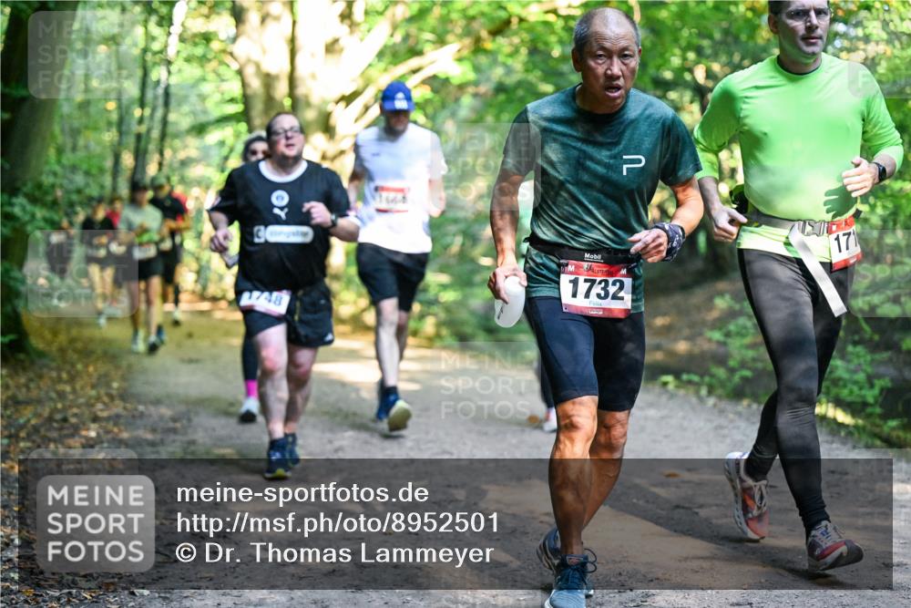 28.09.2025 - 33. Volkslauf durch das schöne Alstertal Dr. Thomas Lammeyer http://msf.ph/oto/8952501 28.09.2025 10:21:42 Laufen 66, 8, 1732, 171 meine-sportfotos.de