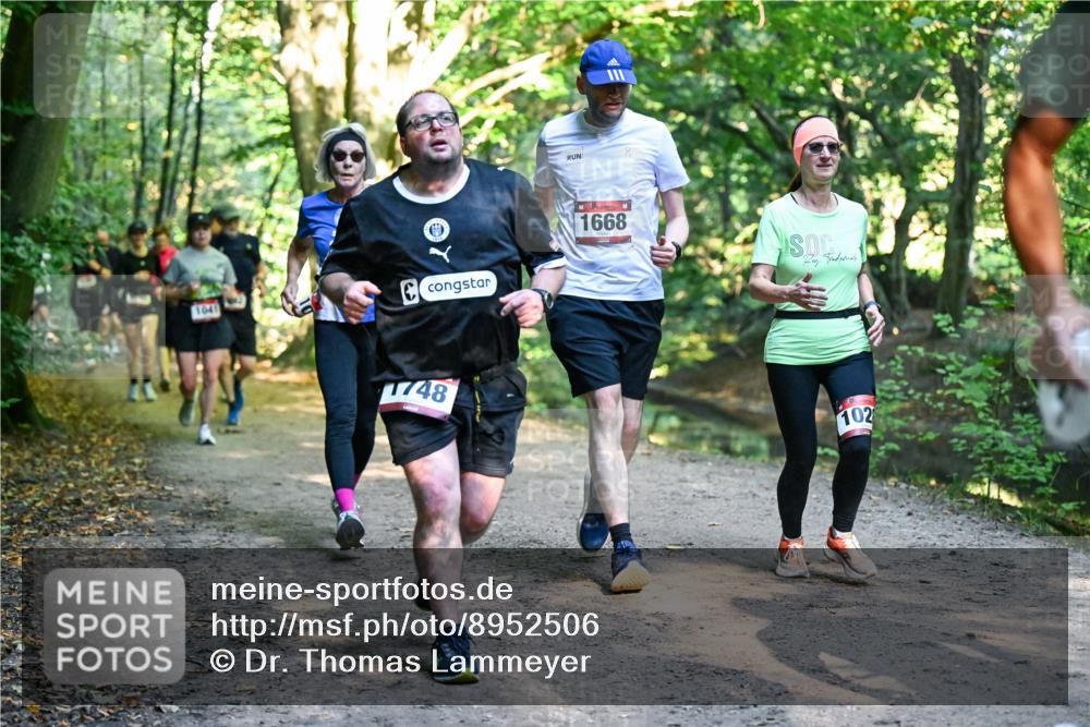 28.09.2025 - 33. Volkslauf durch das schöne Alstertal Dr. Thomas Lammeyer http://msf.ph/oto/8952506 28.09.2025 10:21:43 Laufen 1041, 1668, 748, 102 meine-sportfotos.de