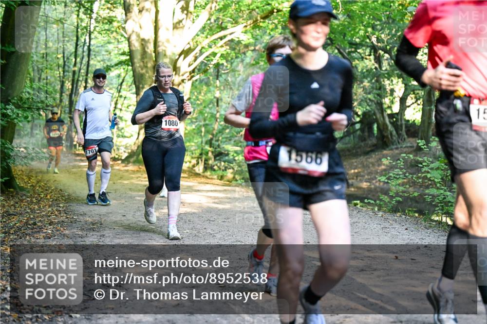 28.09.2025 - 33. Volkslauf durch das schöne Alstertal Dr. Thomas Lammeyer http://msf.ph/oto/8952538 28.09.2025 10:21:49 Laufen 1080, 1701, 1566, 15 meine-sportfotos.de