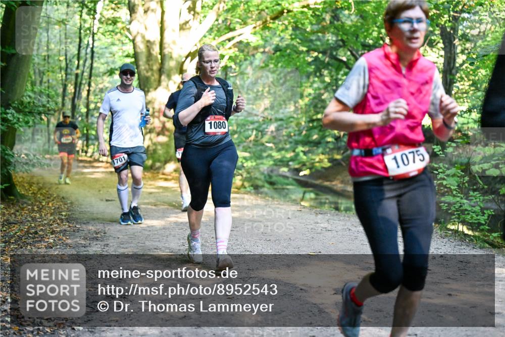 28.09.2025 - 33. Volkslauf durch das schöne Alstertal Dr. Thomas Lammeyer http://msf.ph/oto/8952543 28.09.2025 10:21:50 Laufen 1701, 1080, 1075 meine-sportfotos.de