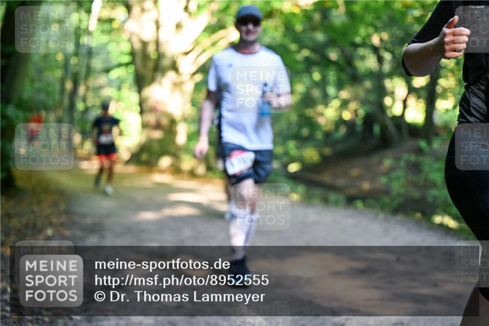 28.09.2025 - 33. Volkslauf durch das schöne Alstertal Dr. Thomas Lammeyer http://msf.ph/oto/8952555 28.09.2025 10:21:52 Laufen  meine-sportfotos.de