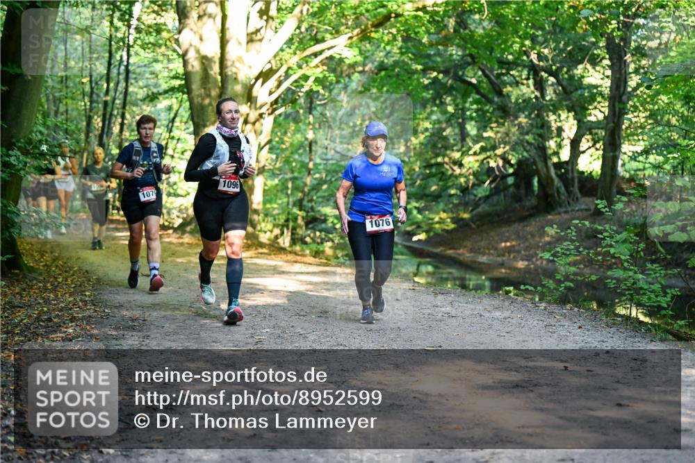 28.09.2025 - 33. Volkslauf durch das schöne Alstertal Dr. Thomas Lammeyer http://msf.ph/oto/8952599 28.09.2025 10:22:06 Laufen 1079, 1096, 1076 meine-sportfotos.de
