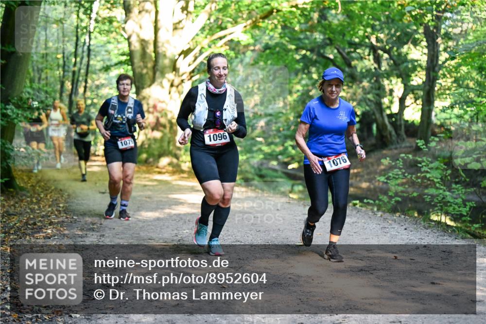 28.09.2025 - 33. Volkslauf durch das schöne Alstertal Dr. Thomas Lammeyer http://msf.ph/oto/8952604 28.09.2025 10:22:07 Laufen 1079, 1096, 1076 meine-sportfotos.de