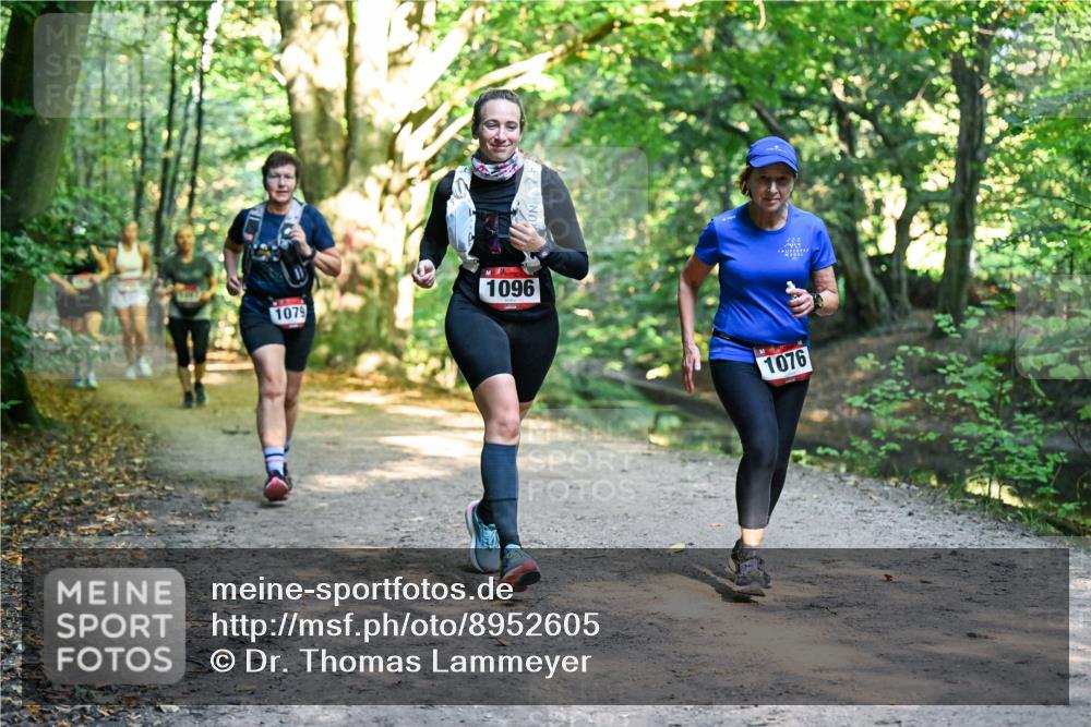 28.09.2025 - 33. Volkslauf durch das schöne Alstertal Dr. Thomas Lammeyer http://msf.ph/oto/8952605 28.09.2025 10:22:07 Laufen 1079, 1096, 1076 meine-sportfotos.de