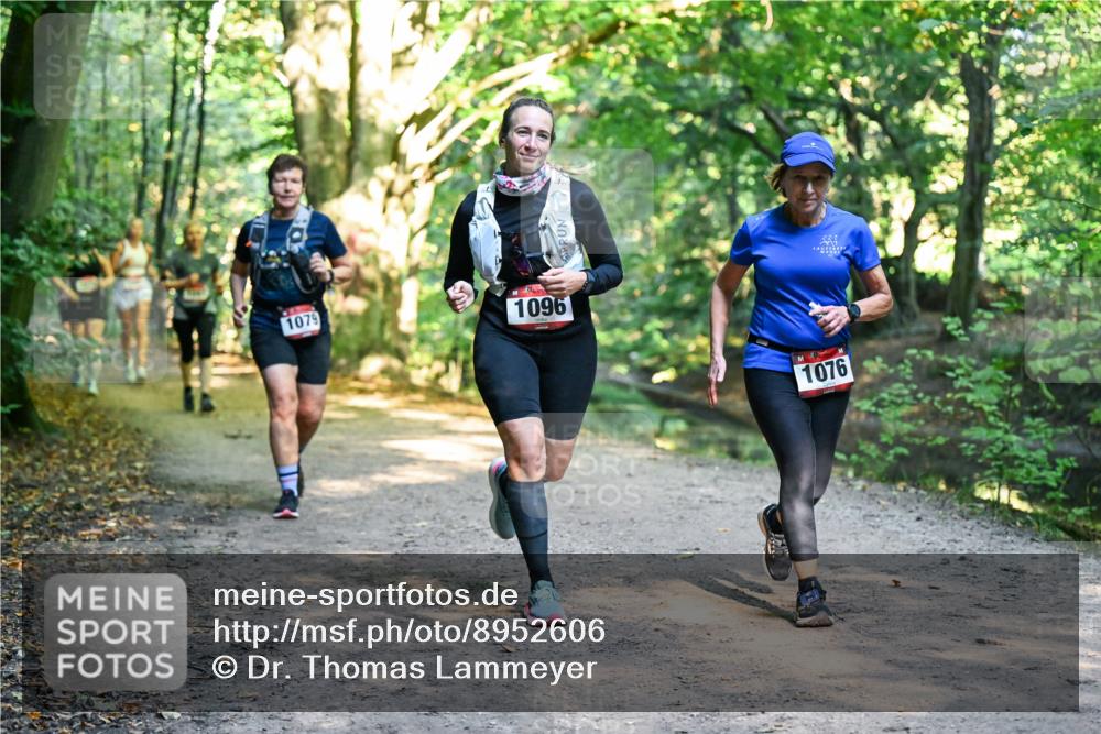 28.09.2025 - 33. Volkslauf durch das schöne Alstertal Dr. Thomas Lammeyer http://msf.ph/oto/8952606 28.09.2025 10:22:07 Laufen 1079, 1096, 1076 meine-sportfotos.de