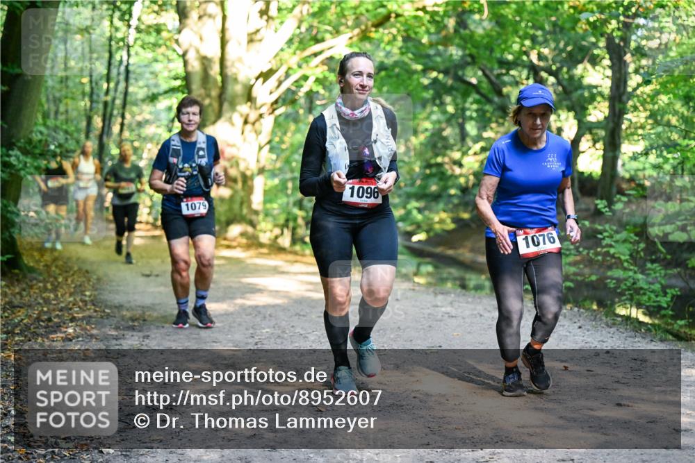 28.09.2025 - 33. Volkslauf durch das schöne Alstertal Dr. Thomas Lammeyer http://msf.ph/oto/8952607 28.09.2025 10:22:07 Laufen 1079, 1096, 1076 meine-sportfotos.de