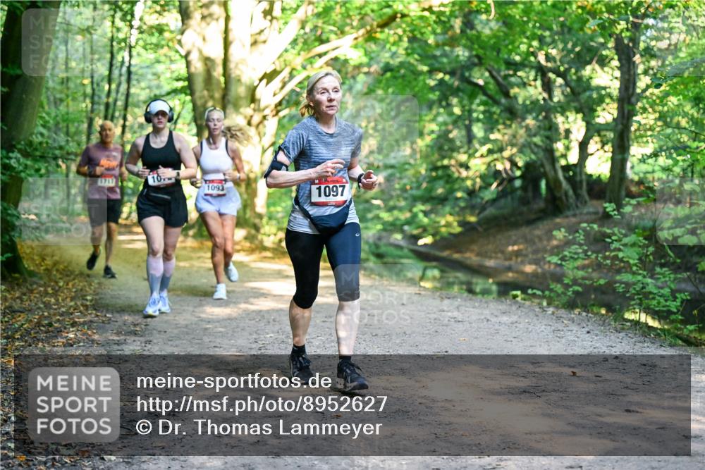 28.09.2025 - 33. Volkslauf durch das schöne Alstertal Dr. Thomas Lammeyer http://msf.ph/oto/8952627 28.09.2025 10:22:11 Laufen 1717, 1093, 1097 meine-sportfotos.de