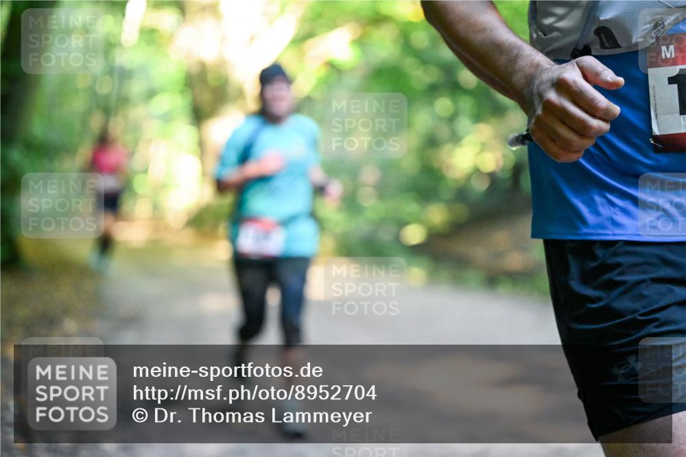 28.09.2025 - 33. Volkslauf durch das schöne Alstertal Dr. Thomas Lammeyer http://msf.ph/oto/8952704 28.09.2025 10:22:29 Laufen  meine-sportfotos.de