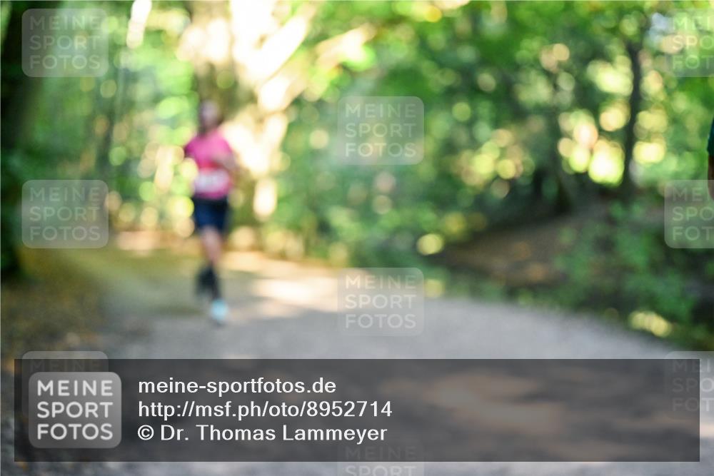 28.09.2025 - 33. Volkslauf durch das schöne Alstertal Dr. Thomas Lammeyer http://msf.ph/oto/8952714 28.09.2025 10:22:30 Laufen  meine-sportfotos.de
