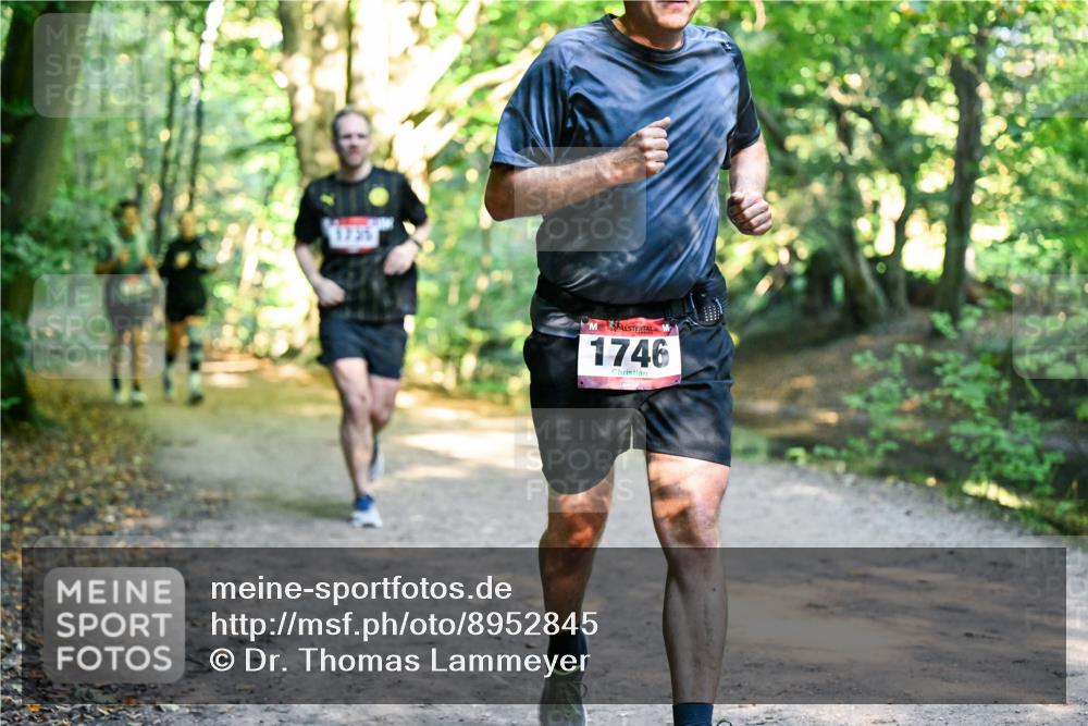 28.09.2025 - 33. Volkslauf durch das schöne Alstertal Dr. Thomas Lammeyer http://msf.ph/oto/8952845 28.09.2025 10:23:23 Laufen 1746 meine-sportfotos.de