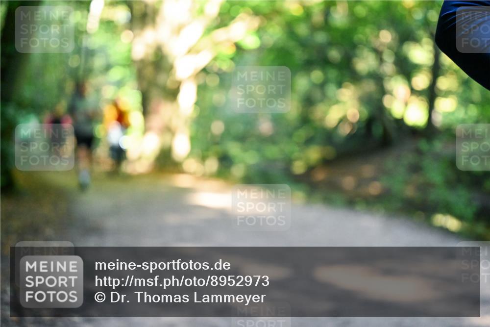 28.09.2025 - 33. Volkslauf durch das schöne Alstertal Dr. Thomas Lammeyer http://msf.ph/oto/8952973 28.09.2025 10:24:20 Laufen  meine-sportfotos.de