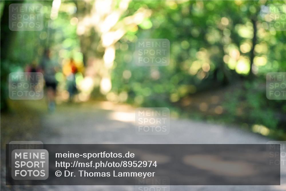 28.09.2025 - 33. Volkslauf durch das schöne Alstertal Dr. Thomas Lammeyer http://msf.ph/oto/8952974 28.09.2025 10:24:20 Laufen  meine-sportfotos.de