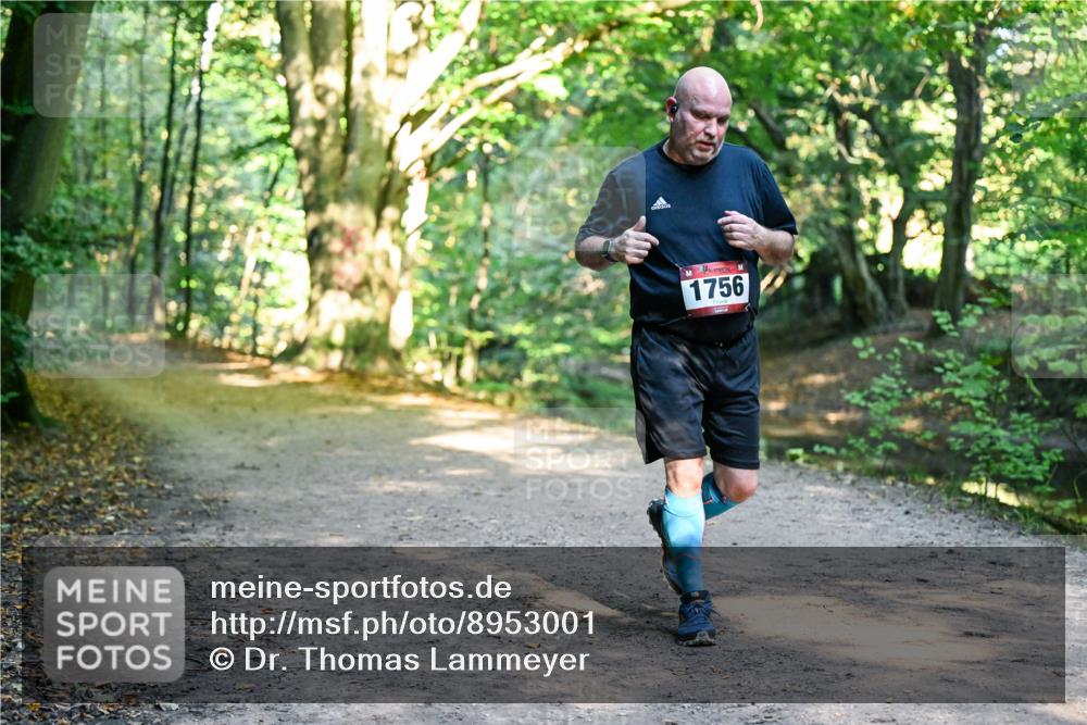 28.09.2025 - 33. Volkslauf durch das schöne Alstertal Dr. Thomas Lammeyer http://msf.ph/oto/8953001 28.09.2025 10:24:37 Laufen 1756 meine-sportfotos.de