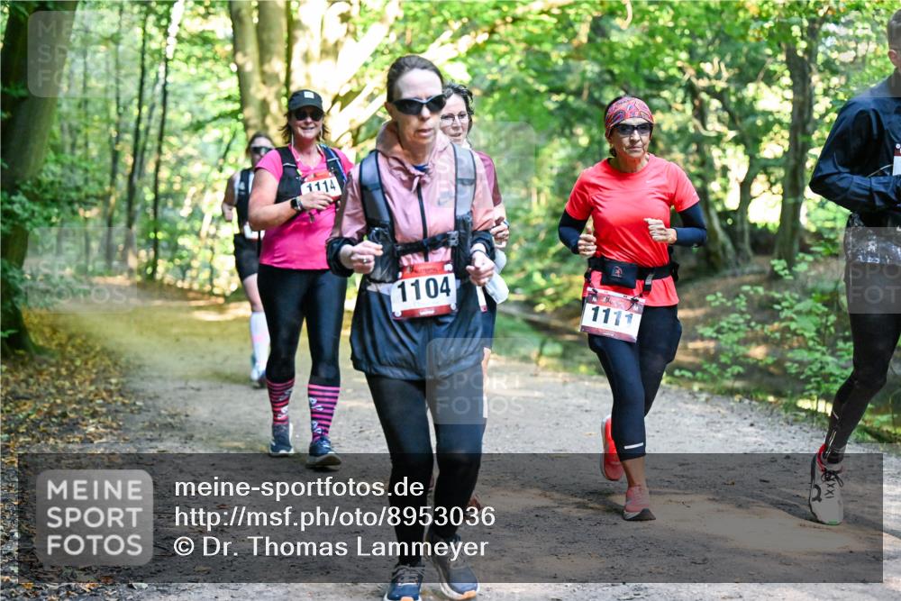 28.09.2025 - 33. Volkslauf durch das schöne Alstertal Dr. Thomas Lammeyer http://msf.ph/oto/8953036 28.09.2025 10:25:18 Laufen 1114, 1104, 1111 meine-sportfotos.de