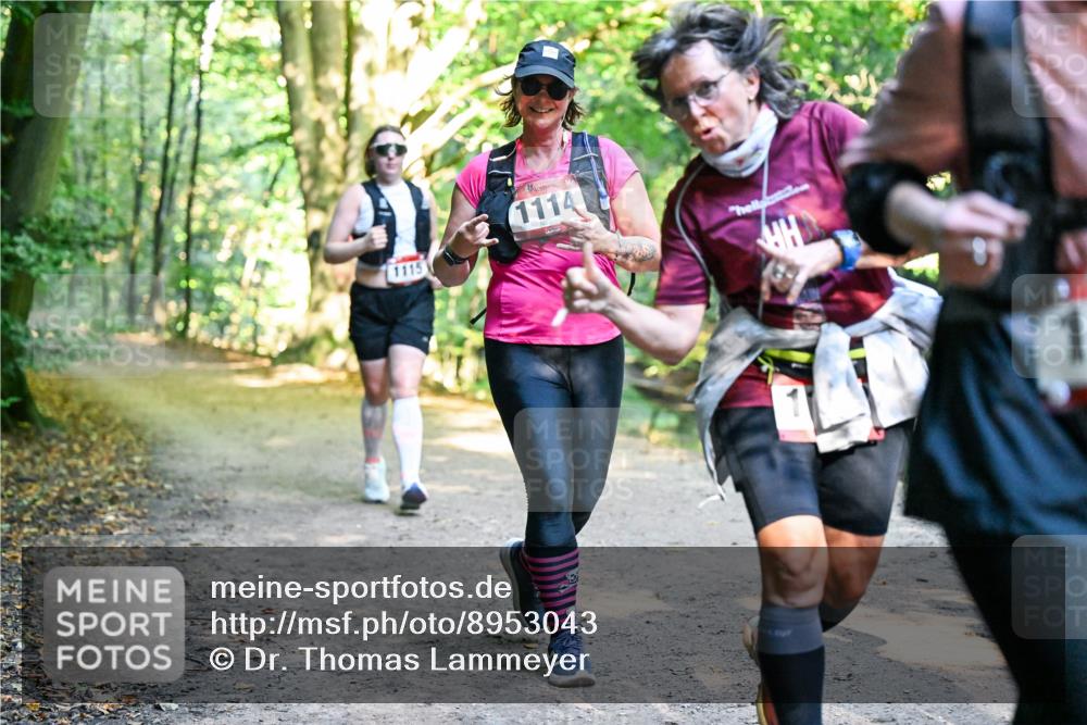 28.09.2025 - 33. Volkslauf durch das schöne Alstertal Dr. Thomas Lammeyer http://msf.ph/oto/8953043 28.09.2025 10:25:19 Laufen 1115, 1114 meine-sportfotos.de