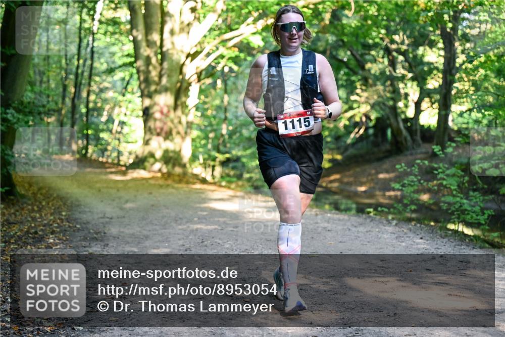 28.09.2025 - 33. Volkslauf durch das schöne Alstertal Dr. Thomas Lammeyer http://msf.ph/oto/8953054 28.09.2025 10:25:21 Laufen 1115 meine-sportfotos.de