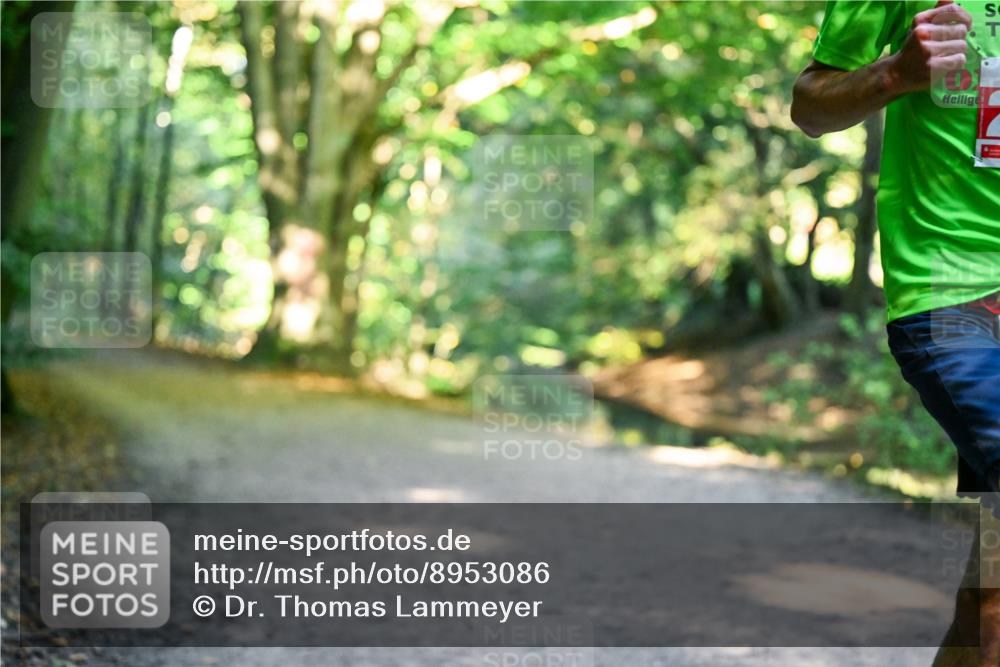 28.09.2025 - 33. Volkslauf durch das schöne Alstertal Dr. Thomas Lammeyer http://msf.ph/oto/8953086 28.09.2025 10:33:08 Laufen  meine-sportfotos.de