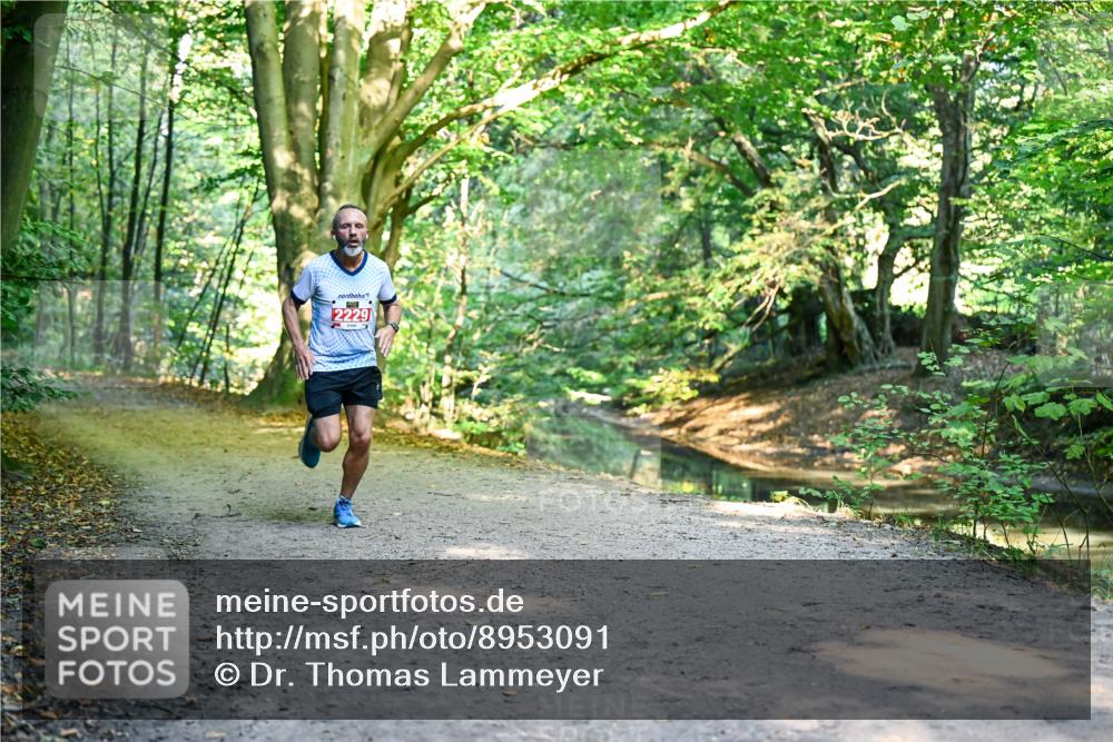 28.09.2025 - 33. Volkslauf durch das schöne Alstertal Dr. Thomas Lammeyer http://msf.ph/oto/8953091 28.09.2025 10:33:35 Laufen 2229 meine-sportfotos.de