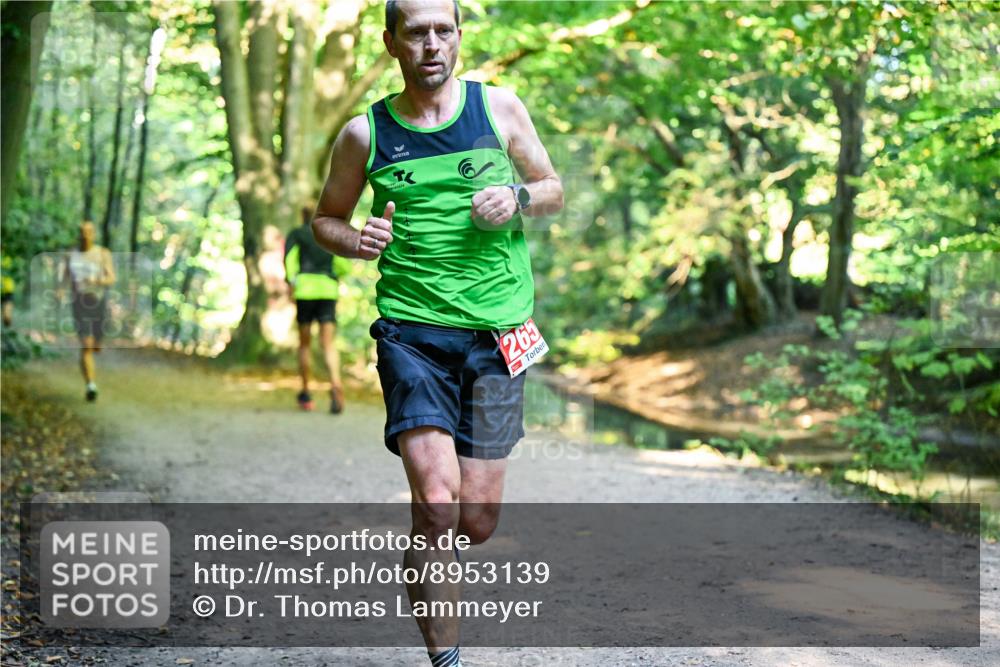 28.09.2025 - 33. Volkslauf durch das schöne Alstertal Dr. Thomas Lammeyer http://msf.ph/oto/8953139 28.09.2025 10:33:56 Laufen 265 meine-sportfotos.de