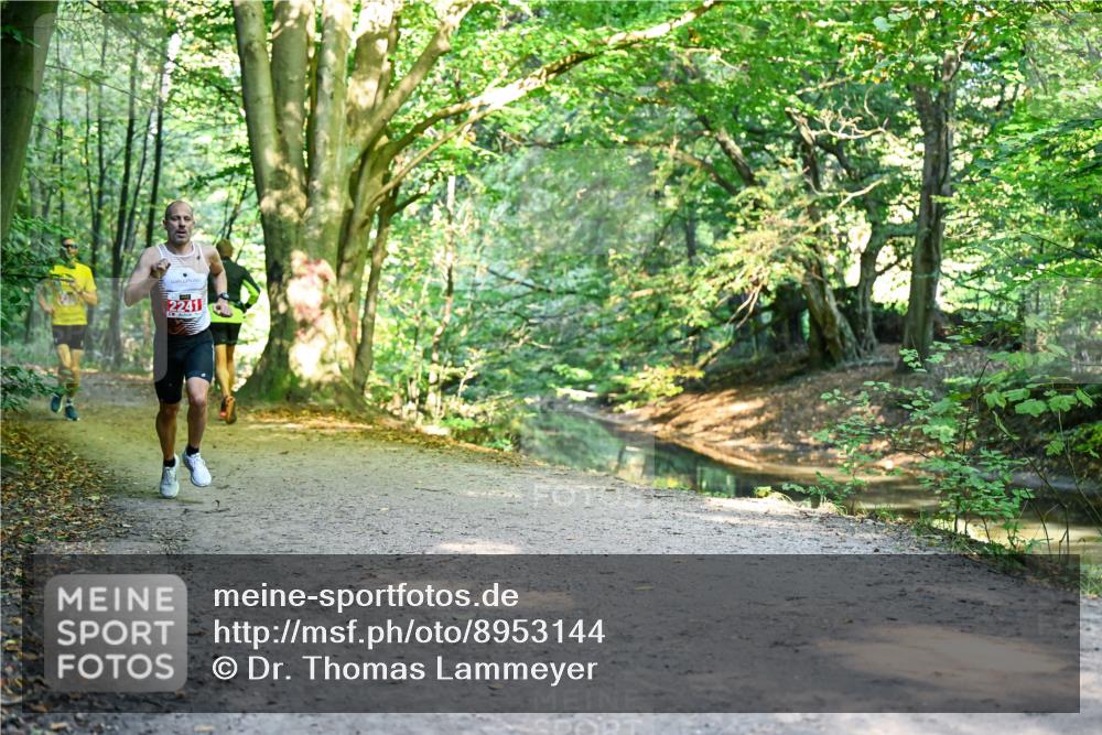 28.09.2025 - 33. Volkslauf durch das schöne Alstertal Dr. Thomas Lammeyer http://msf.ph/oto/8953144 28.09.2025 10:33:58 Laufen 2241 meine-sportfotos.de