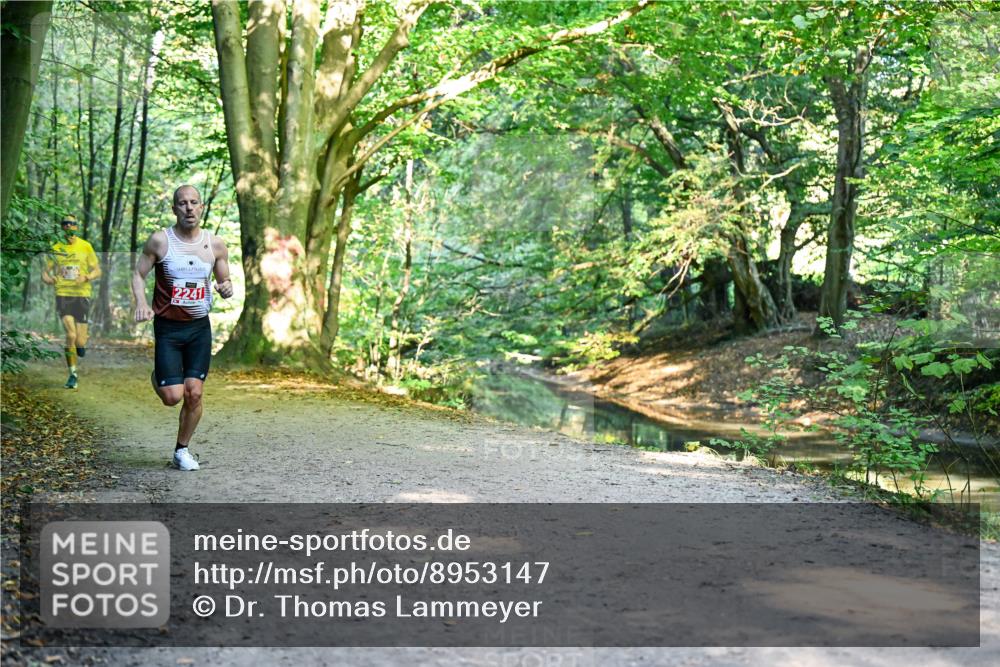 28.09.2025 - 33. Volkslauf durch das schöne Alstertal Dr. Thomas Lammeyer http://msf.ph/oto/8953147 28.09.2025 10:33:58 Laufen 2241 meine-sportfotos.de