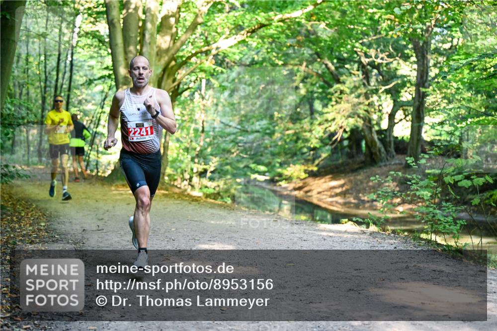 28.09.2025 - 33. Volkslauf durch das schöne Alstertal Dr. Thomas Lammeyer http://msf.ph/oto/8953156 28.09.2025 10:33:59 Laufen 2241 meine-sportfotos.de