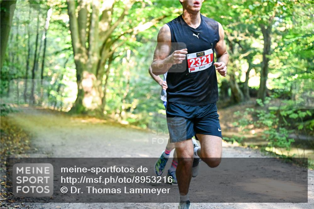 28.09.2025 - 33. Volkslauf durch das schöne Alstertal Dr. Thomas Lammeyer http://msf.ph/oto/8953216 28.09.2025 10:34:09 Laufen 2321 meine-sportfotos.de